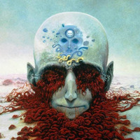 Avatar de Usuario